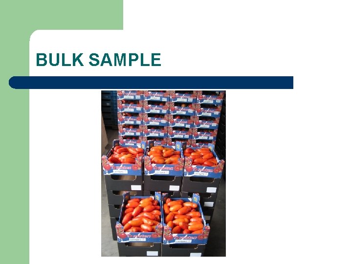 Fred Jacobs l Quality Inspection Bureau for fruits