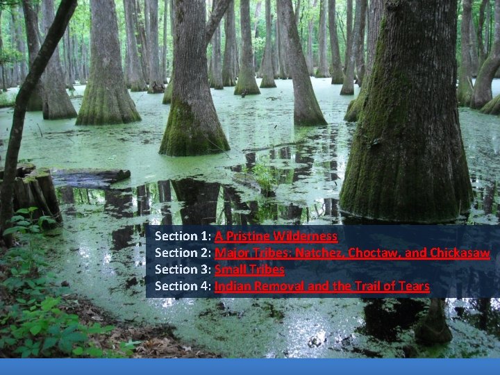 Section 1: A Pristine Wilderness Section 2: Major Tribes: Natchez, Choctaw, and Chickasaw Section