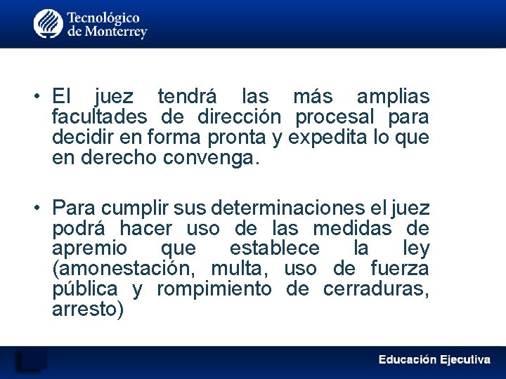  • El juez tendrá las más amplias facultades de dirección procesal para decidir