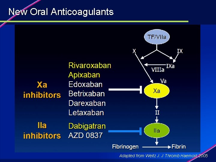 New Oral Anticoagulants Pathophysiology of thrombosis in heart failure. Adapted from Weitz J. J