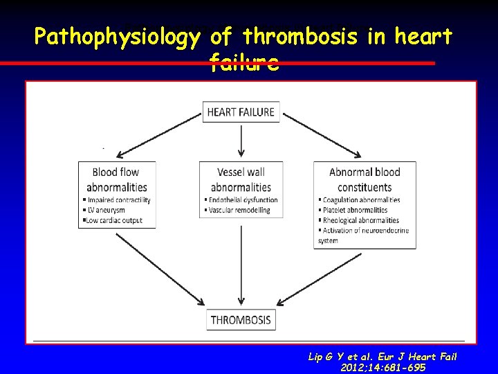 Pathophysiology of thrombosis in heart failure. Lip G Y et al. Eur J Heart