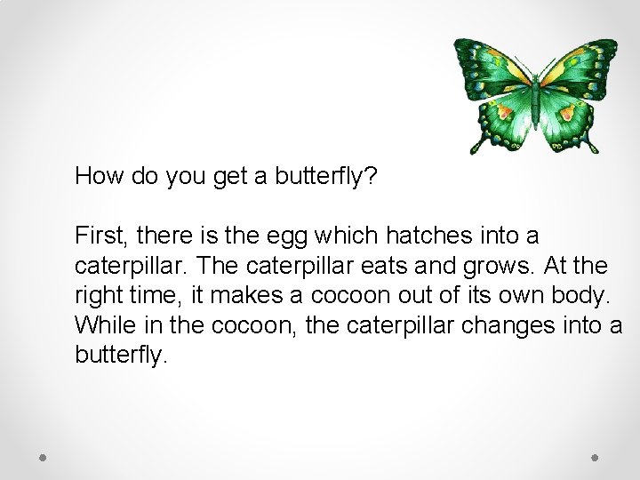 How do you get a butterfly? First, there is the egg which hatches into