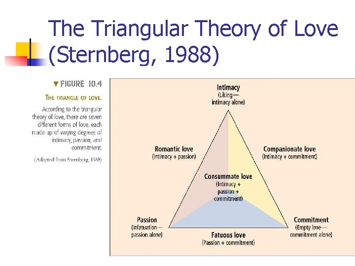 Theory of love the triangle The triangular