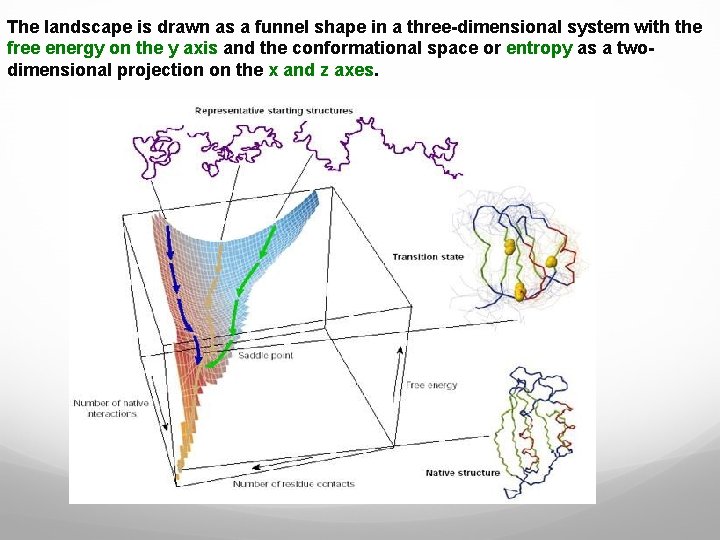 The landscape is drawn as a funnel shape in a three-dimensional system with the