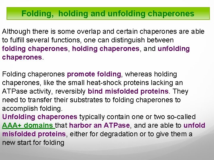 Folding, holding and unfolding chaperones Although there is some overlap and certain chaperones are