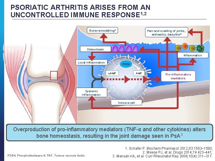 PSORIATIC ARTHRITIS ARISES FROM AN UNCONTROLLED IMMUNE RESPONSE 1, 2 Bone remodelling 4 Pain