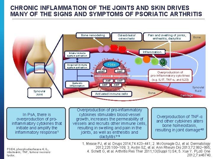 CHRONIC INFLAMMATION OF THE JOINTS AND SKIN DRIVES MANY OF THE SIGNS AND SYMPTOMS