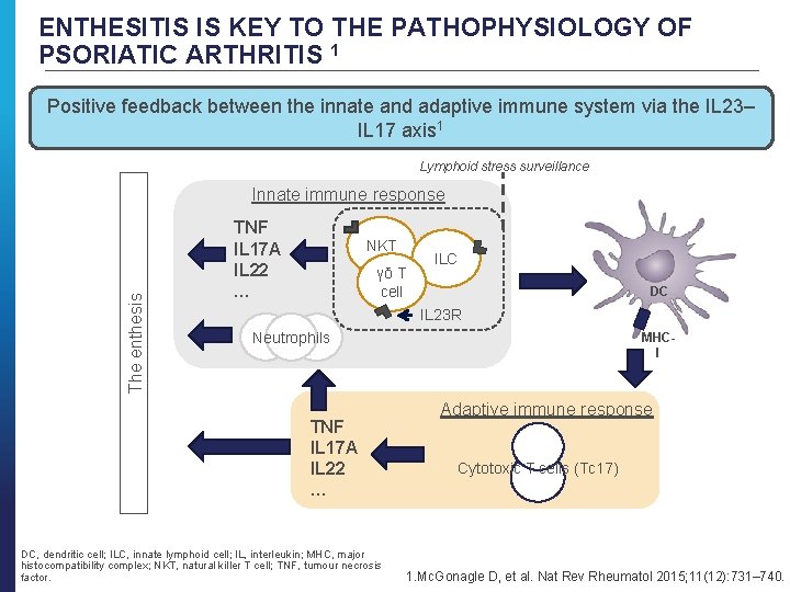 ENTHESITIS IS KEY TO THE PATHOPHYSIOLOGY OF PSORIATIC ARTHRITIS 1 Positive feedback between the