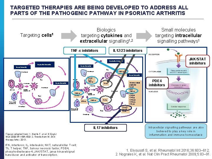 TARGETED THERAPIES ARE BEING DEVELOPED TO ADDRESS ALL PARTS OF THE PATHOGENIC PATHWAY IN