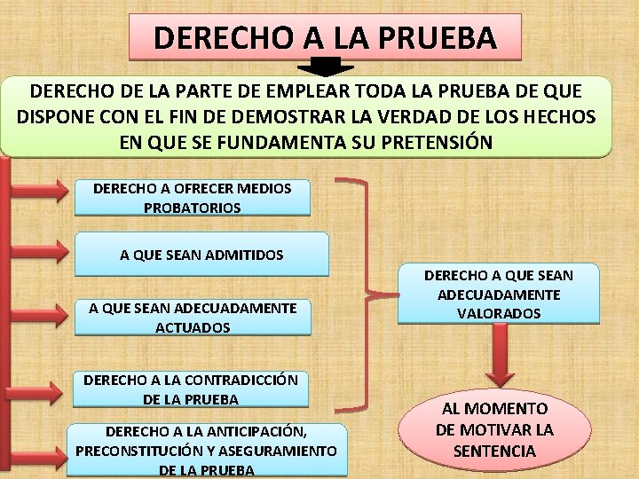 DERECHO A LA PRUEBA DERECHO DE LA PARTE DE EMPLEAR TODA LA PRUEBA DE