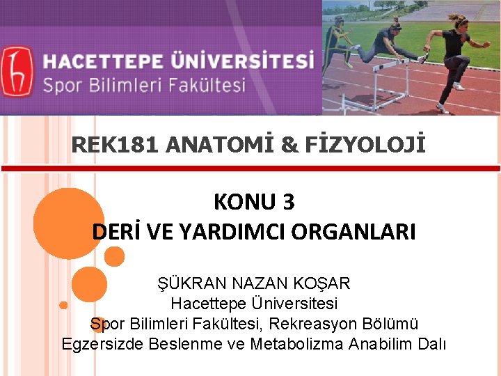 REK 181 ANATOMİ & FİZYOLOJİ KONU 3 DERİ VE YARDIMCI ORGANLARI ŞÜKRAN NAZAN KOŞAR