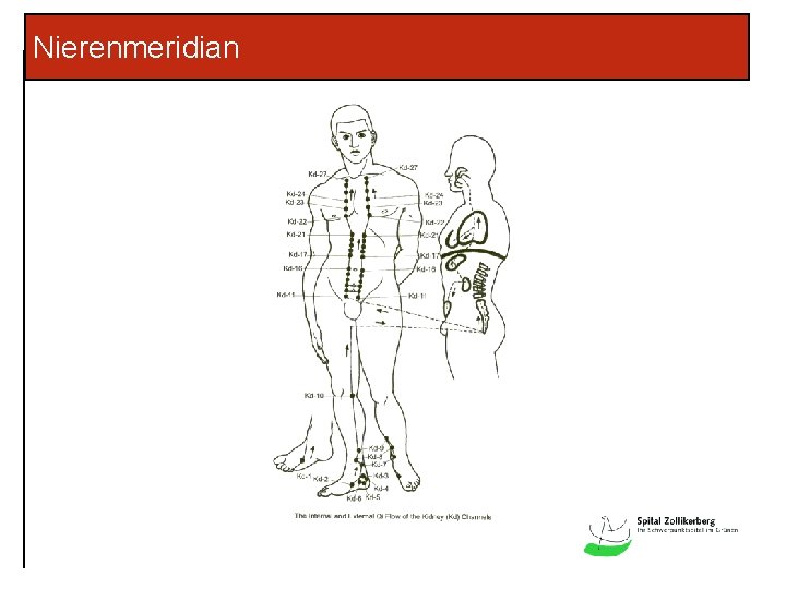 Nierenmeridian 