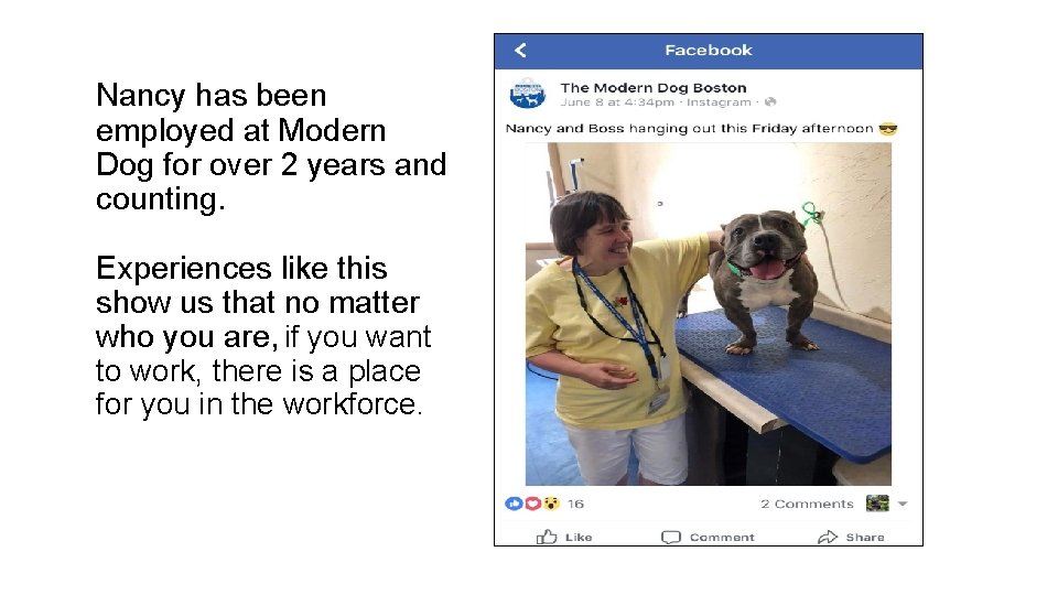 Nancy has been employed at Modern Dog for over 2 years and counting. Experiences