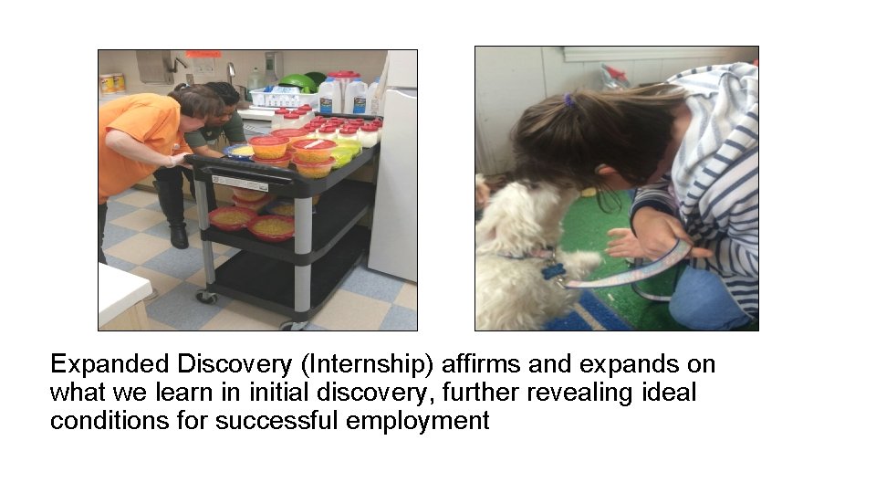 Expanded Discovery (Internship) affirms and expands on what we learn in initial discovery, further