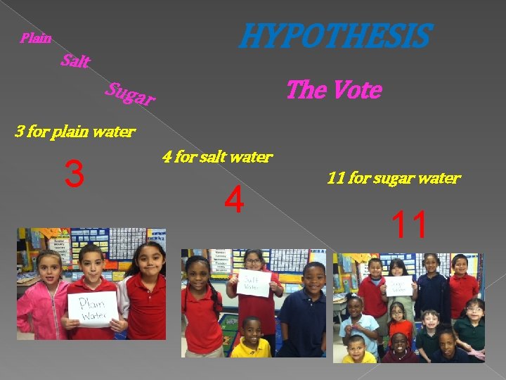 HYPOTHESIS Plain Salt Suga The Vote r 3 for plain water 3 4 for