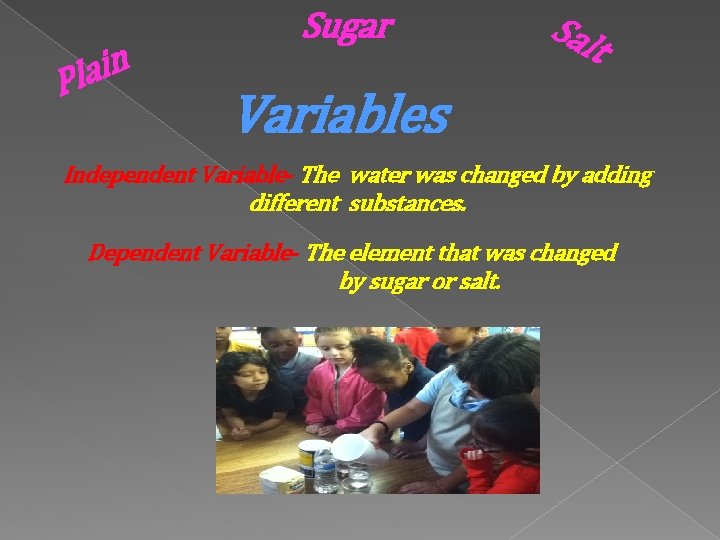 n i a Pl Sugar Sal t Variables Independent Variable- The water was changed