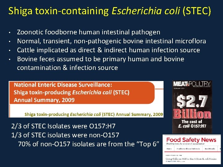 Shiga toxin-containing Escherichia coli (STEC) • • Zoonotic foodborne human intestinal pathogen Normal, transient,