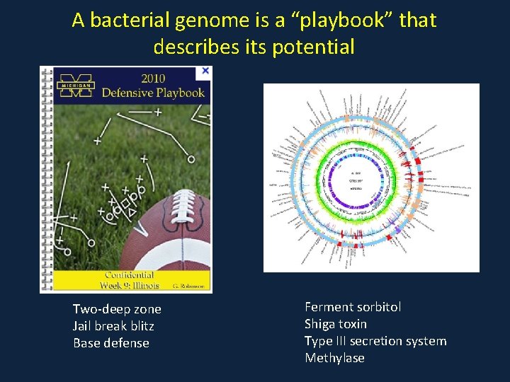 A bacterial genome is a “playbook” that describes its potential Two-deep zone Jail break