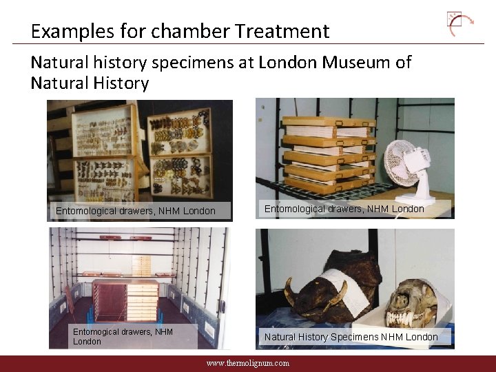 Examples for chamber Treatment Natural history specimens at London Museum of Natural History Entomological