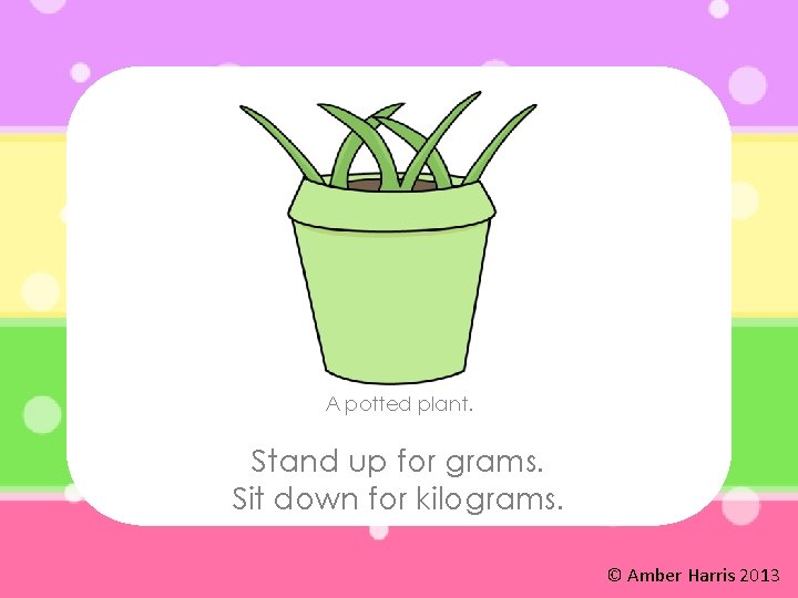 A potted plant. Stand up for grams. Sit down for kilograms. © Amber Harris