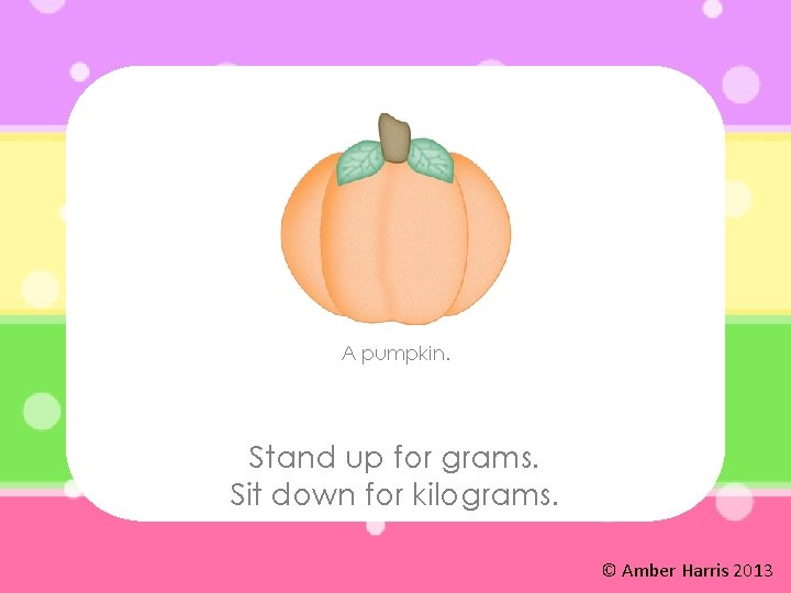 A pumpkin. Stand up for grams. Sit down for kilograms. © Amber Harris 2013