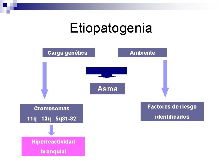Etiopatogenia Cargagenética Ambiente Asma Cromosomas Factores de riesgo 11 q 13 q 5 q
