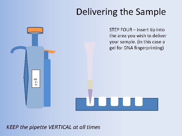 Delivering the Sample 278 STEP FOUR – insert tip into the area you wish