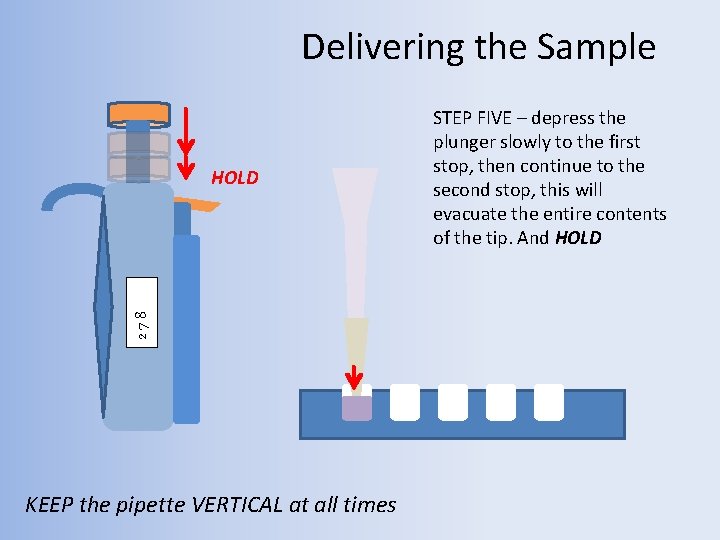 Delivering the Sample 278 HOLD KEEP the pipette VERTICAL at all times STEP FIVE