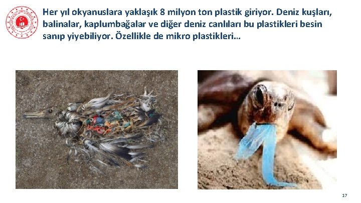 Her yıl okyanuslara yaklaşık 8 milyon ton plastik giriyor. Deniz kuşları, balinalar, kaplumbağalar ve