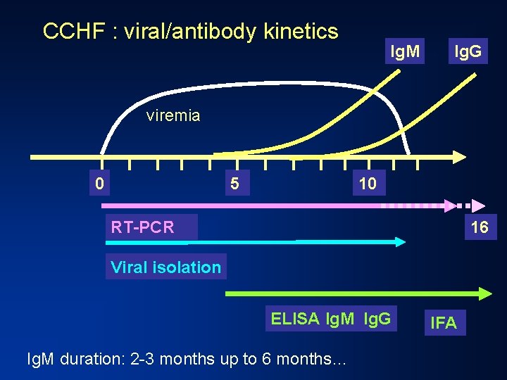 CCHF : viral/antibody kinetics Ig. M Ig. G viremia 0 5 10 RT-PCR 16