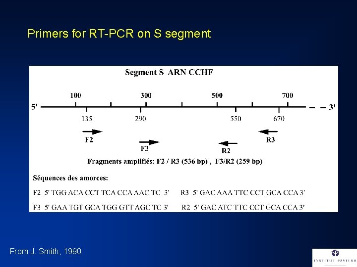 Primers for RT-PCR on S segment From J. Smith, 1990 