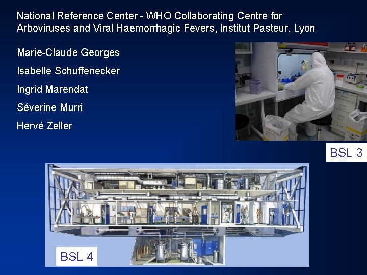 National Reference Center - WHO Collaborating Centre for Arboviruses and Viral Haemorrhagic Fevers, Institut