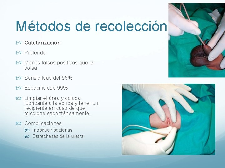 Métodos de recolección Cateterización Preferido Menos falsos positivos que la bolsa Sensibildad del 95% Métodos de recolección Cateterización Preferido Menos falsos positivos que la bolsa Sensibildad del 95%