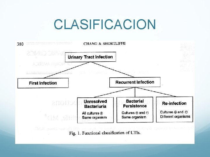 CLASIFICACION CLASIFICACION