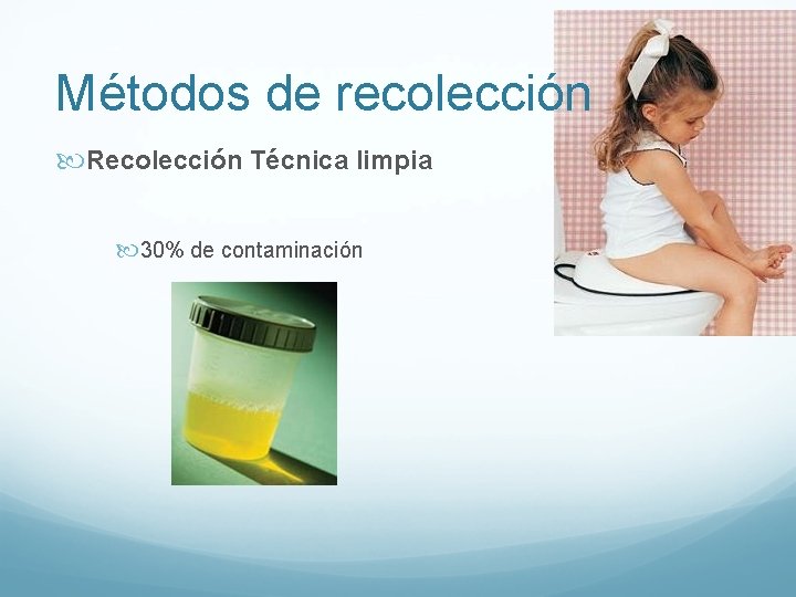 Métodos de recolección Recolección Técnica limpia 30% de contaminación Métodos de recolección Recolección Técnica limpia 30% de contaminación