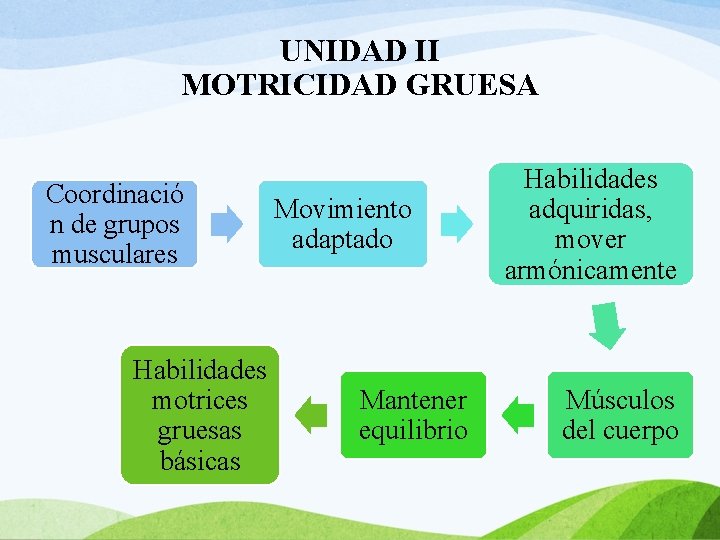 UNIDAD II MOTRICIDAD GRUESA Coordinació n de grupos musculares Habilidades motrices gruesas básicas Movimiento