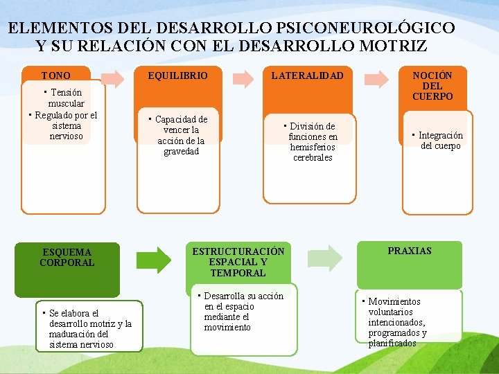 ELEMENTOS DEL DESARROLLO PSICONEUROLÓGICO Y SU RELACIÓN CON EL DESARROLLO MOTRIZ TONO • Tensión