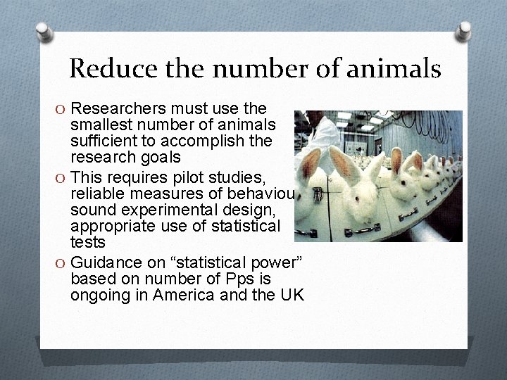Reduce the number of animals O Researchers must use the smallest number of animals Reduce the number of animals O Researchers must use the smallest number of animals