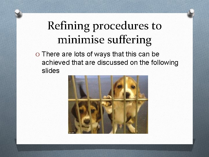 Refining procedures to minimise suffering O There are lots of ways that this can Refining procedures to minimise suffering O There are lots of ways that this can