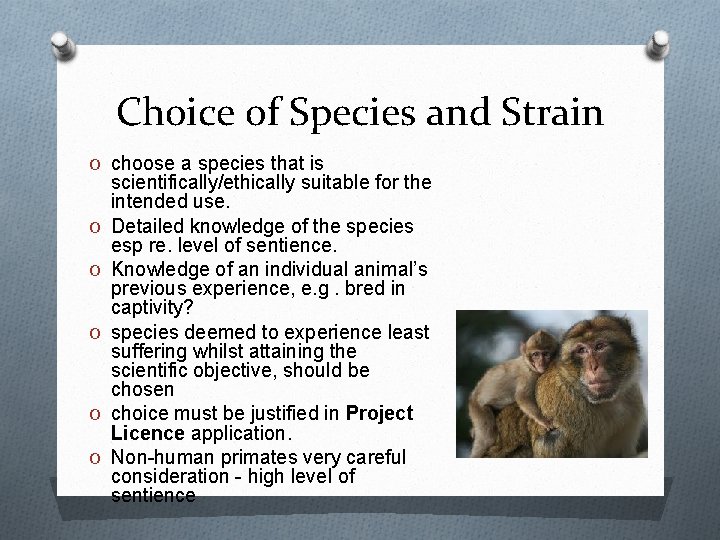 Choice of Species and Strain O choose a species that is O O O Choice of Species and Strain O choose a species that is O O O
