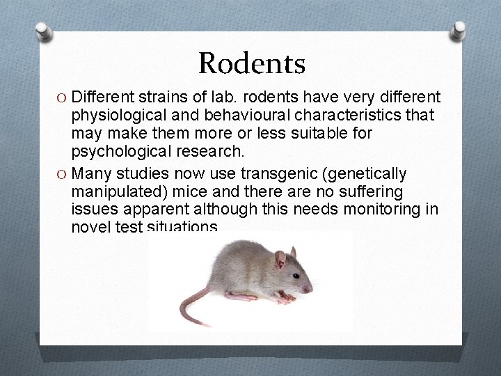 Rodents O Different strains of lab. rodents have very different physiological and behavioural characteristics Rodents O Different strains of lab. rodents have very different physiological and behavioural characteristics
