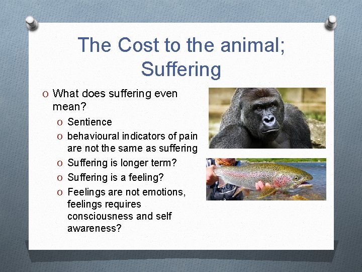 The Cost to the animal; Suffering O What does suffering even mean? O Sentience The Cost to the animal; Suffering O What does suffering even mean? O Sentience