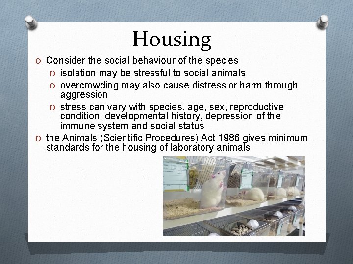 Housing O Consider the social behaviour of the species O isolation may be stressful Housing O Consider the social behaviour of the species O isolation may be stressful