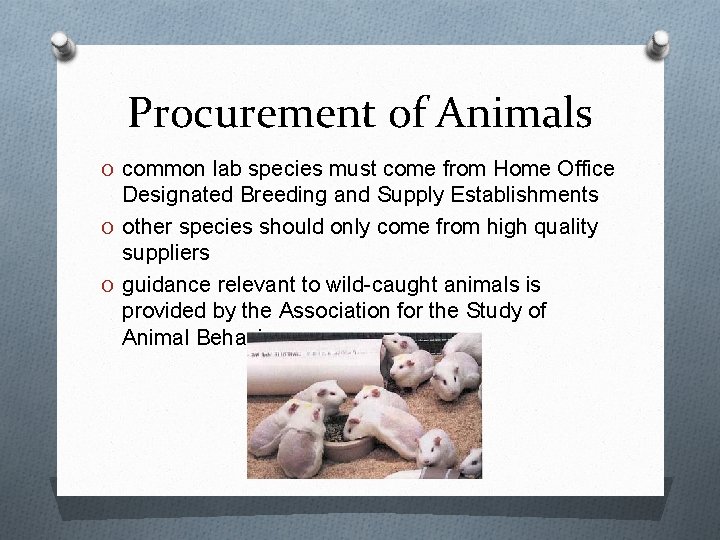 Procurement of Animals O common lab species must come from Home Office Designated Breeding Procurement of Animals O common lab species must come from Home Office Designated Breeding