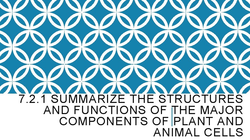 7. 2. 1 SUMMARIZE THE STRUCTURES AND FUNCTIONS OF THE MAJOR COMPONENTS OF PLANT