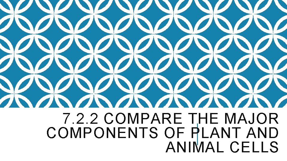 7. 2. 2 COMPARE THE MAJOR COMPONENTS OF PLANT AND ANIMAL CELLS 