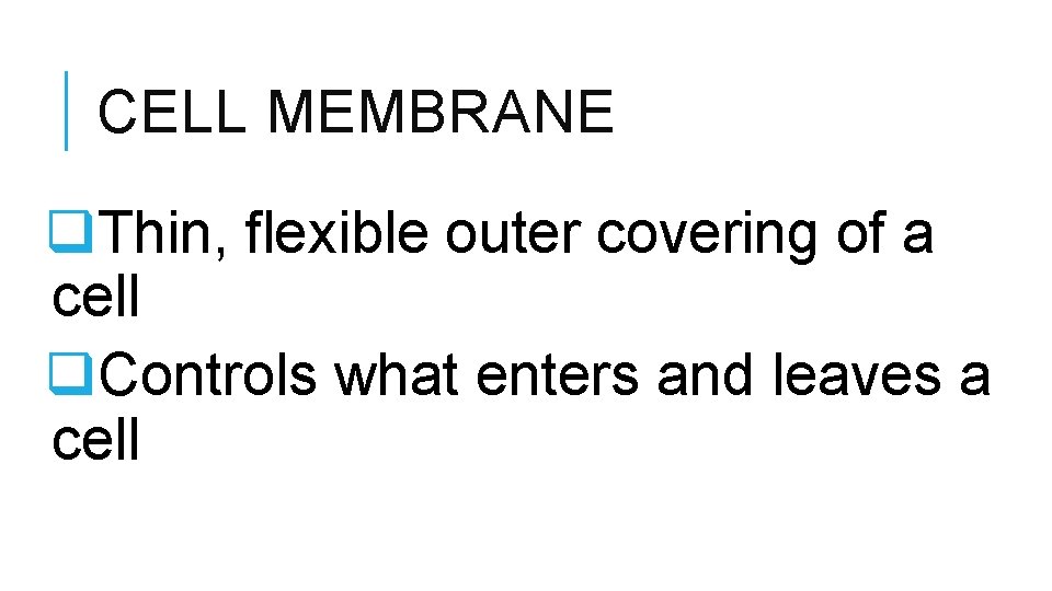 CELL MEMBRANE q. Thin, flexible outer covering of a cell q. Controls what enters