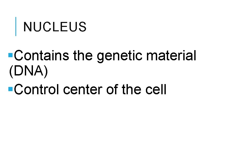 NUCLEUS §Contains the genetic material (DNA) §Control center of the cell 