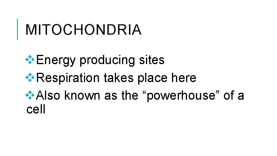 MITOCHONDRIA v. Energy producing sites v. Respiration takes place here v. Also known as