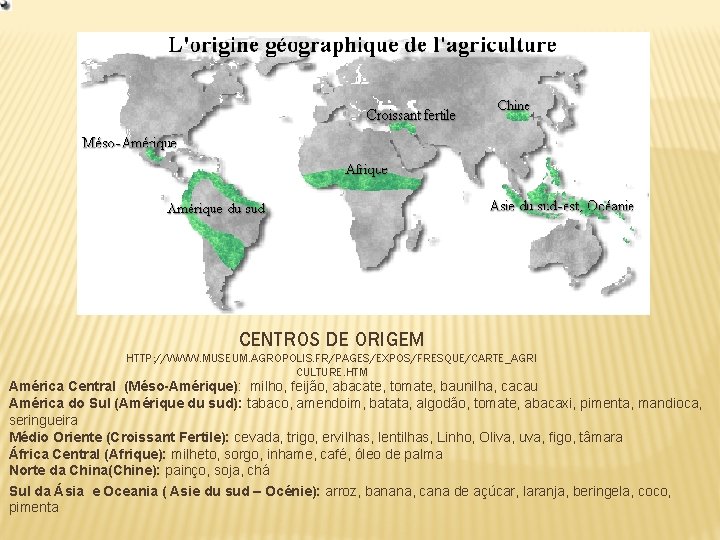 CENTROS DE ORIGEM HTTP: //WWW. MUSEUM. AGROPOLIS. FR/PAGES/EXPOS/FRESQUE/CARTE_AGRI CULTURE. HTM América Central (Méso-Amérique): milho,